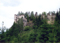 Ruine Steinschloss